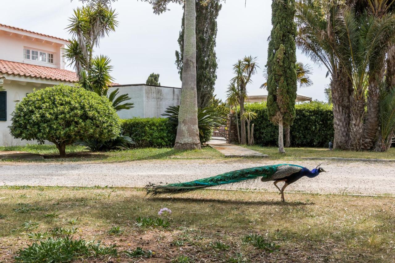 Finca Son Temet Es Mercadal Extérieur photo